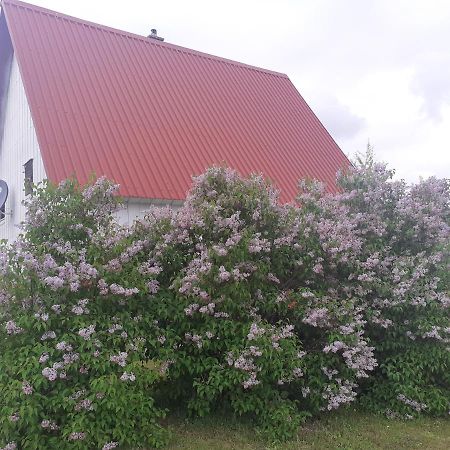 Zabljak Izdavanje Kuce Buitenkant foto