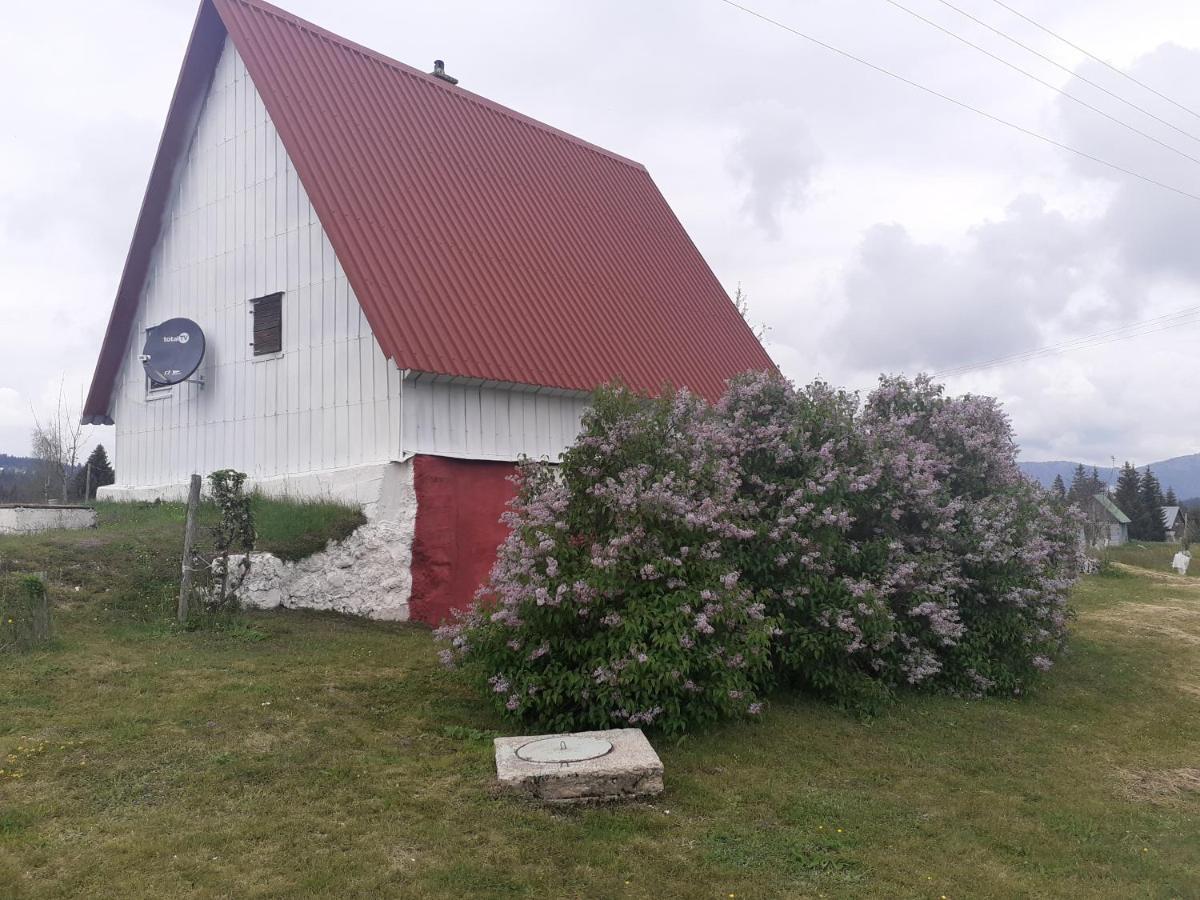 Zabljak Izdavanje Kuce Buitenkant foto