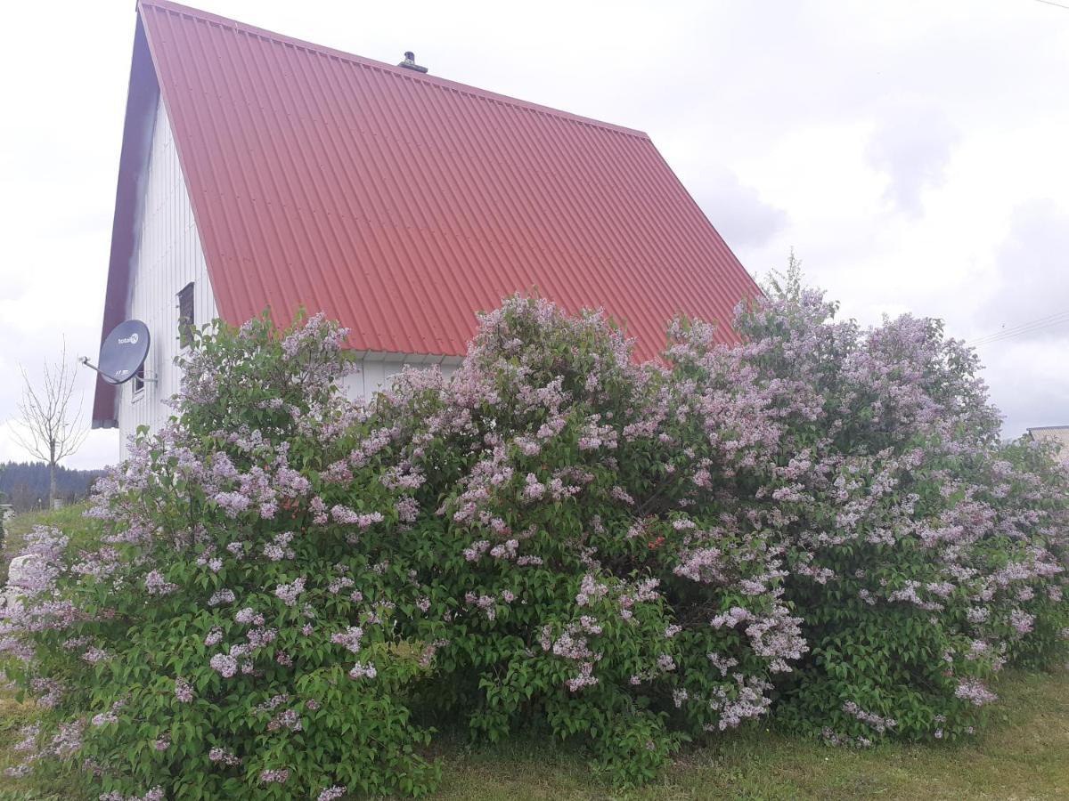 Zabljak Izdavanje Kuce Buitenkant foto