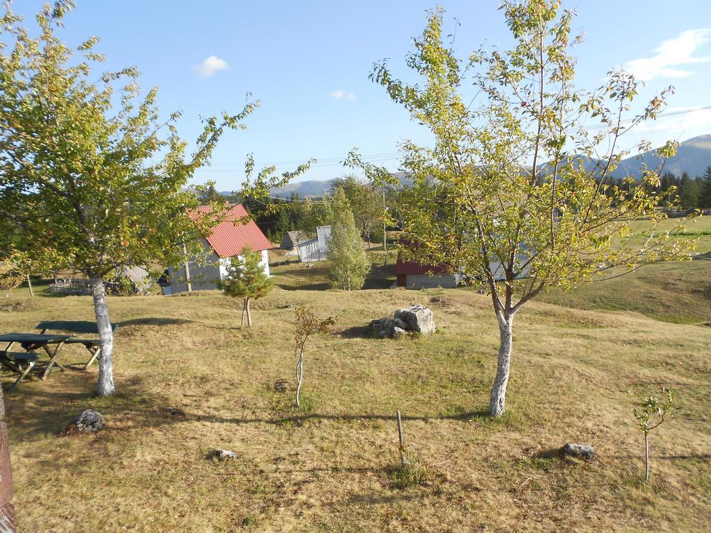 Zabljak Izdavanje Kuce Buitenkant foto