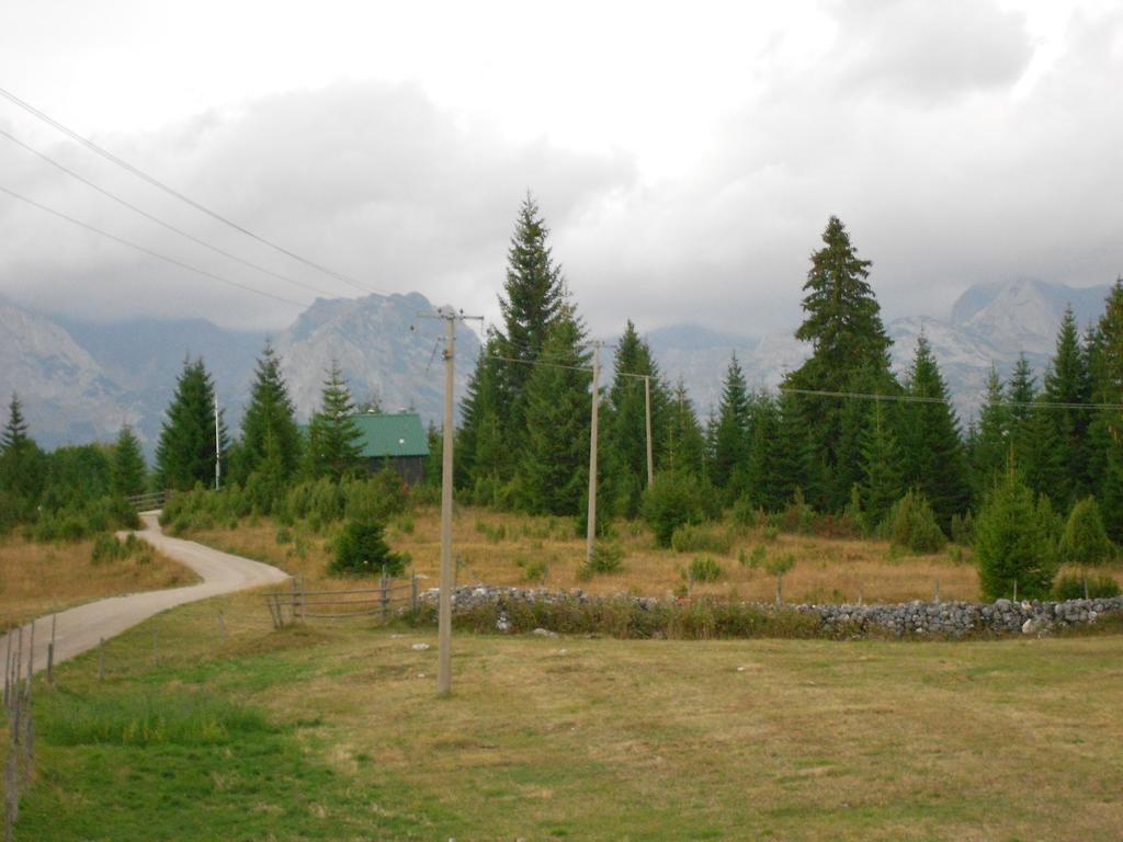 Zabljak Izdavanje Kuce Buitenkant foto